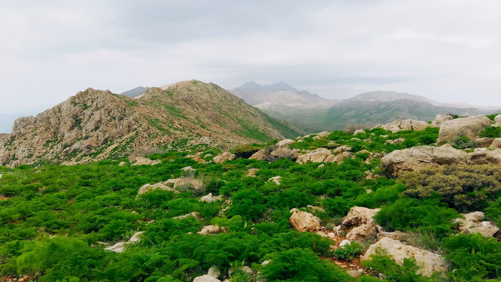 a view of a mountain range from a high point of view