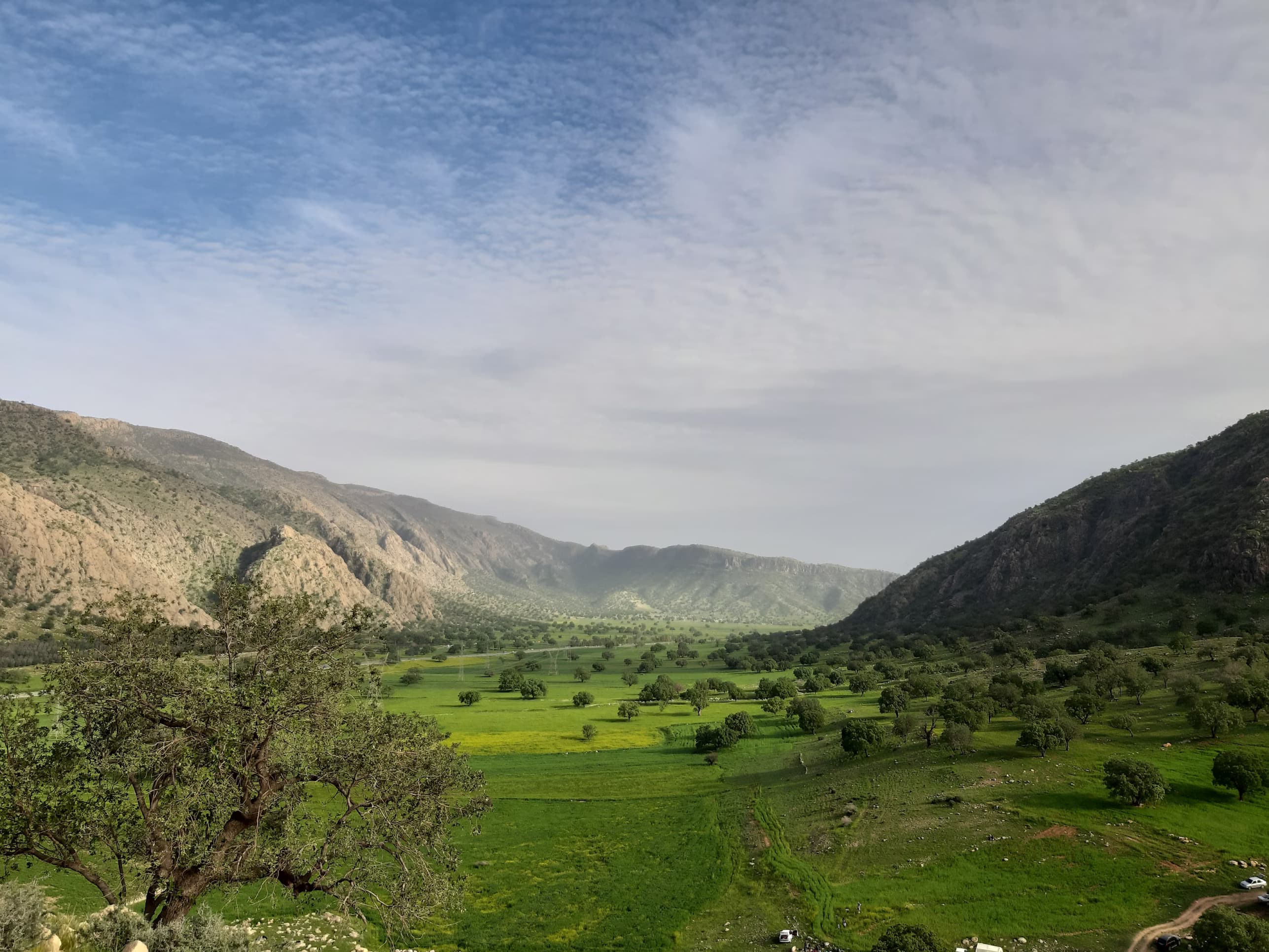 Kurdish Autonomy – Challenges and Opportunities in a Changing Middle East
